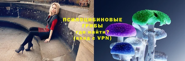 mix Вяземский